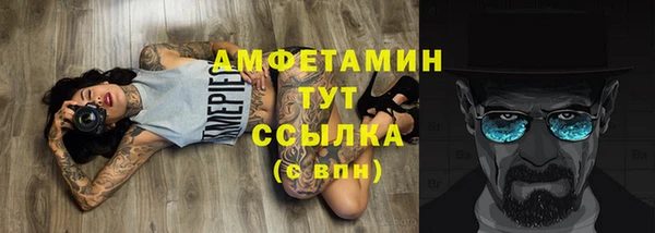 дживик Богородицк