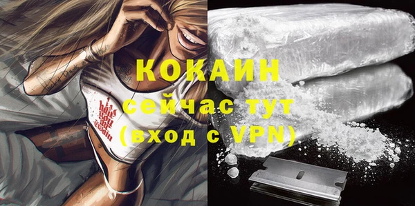 ALPHA PVP Богданович