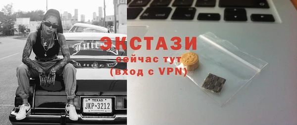 дживик Богородицк