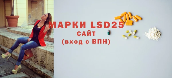 дживик Богородицк