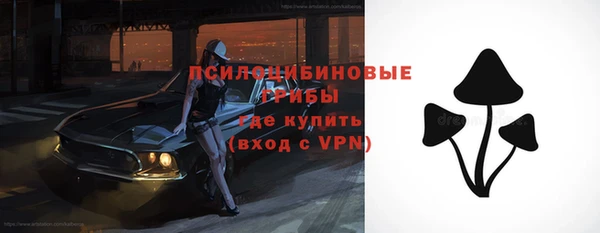 скорость Богородск