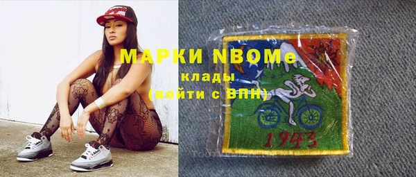 дживик Богородицк
