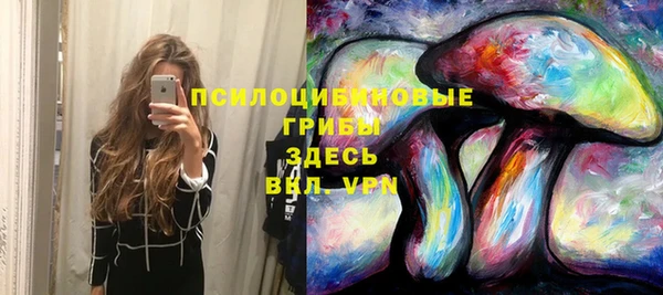 ALPHA PVP Богданович