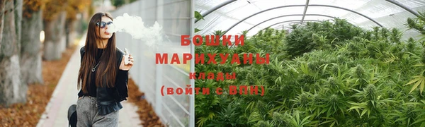 дживик Богородицк