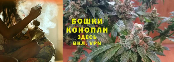 скорость Богородск